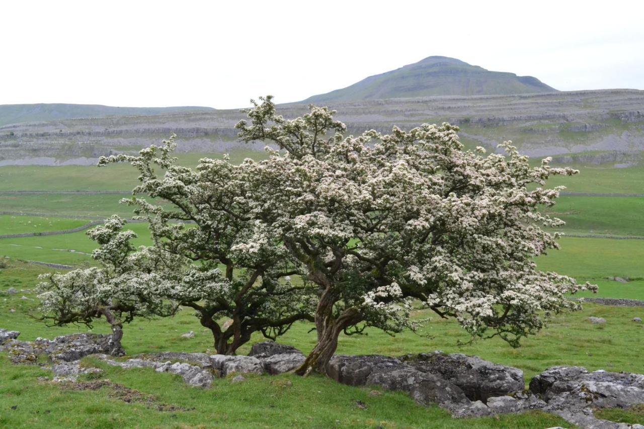 Dalecote Barn Bed & Breakfast إنغيلتون المظهر الخارجي الصورة